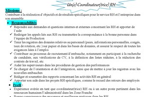 COORDINATEUR (TRICE) RH