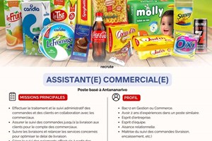 HABIBO MITADY ASSISTANTE COMMERCIALE 