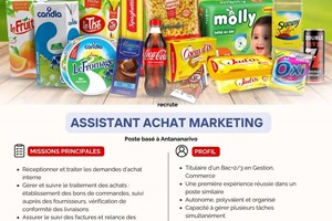 HABIBO MITADY ASSISTANTE MARKETING ACHAT 