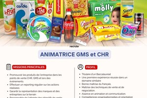 HABIBO MITADY ANIMATRICE GMS/CHR 