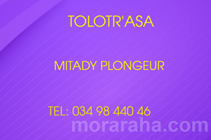 MITADY PLONGEUR 