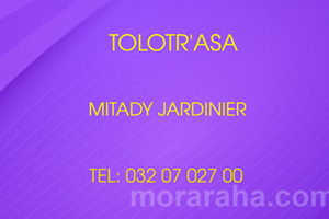 MITADY JARDINIER 