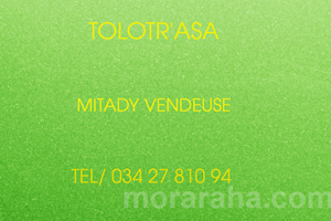 MITADY VENDEUSE 