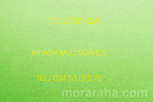 MITADY AGENT MULTISERVICE 