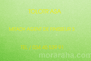 MITADY AGENT DE FINISSEUR 