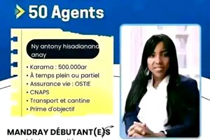 MITADY 50 AGENTS COMMERCIAL 