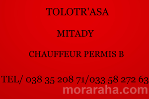 MITADY CHAUFFEUR PERMIS B 