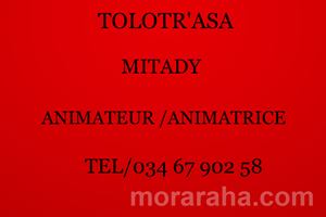 MITADY ANIMATEUR/ANIMATRICE DE VENTE 