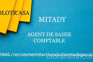 MITADY AGENT DE SAISIE/COMPTABLE 