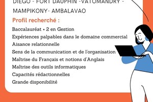 MITADY CHEF D'AGENCE 