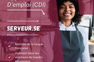 MITADY SERVEUR/SERVEUSE