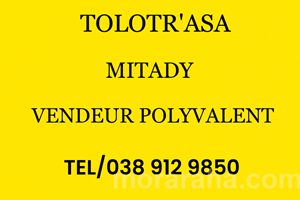 MITADY VENDEURS POLYVALENT 