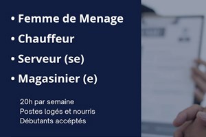 MITADY CHAUFFEUR/MAGASINIER/SERVEUR/SERVEUSE/FEMME DE MENAGE/