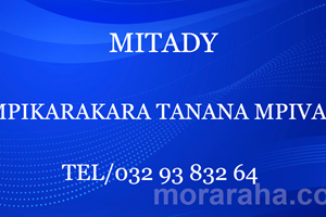MITADY MPIKARAKARA TANANA MPIVADY