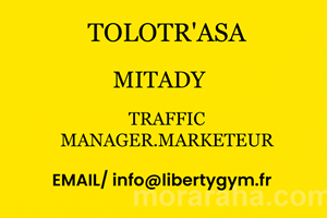 MITADY TRAFIC MANAGER .MARKETEUR