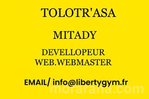 MITADY DEVELOPPEUR.WEBMASTER 