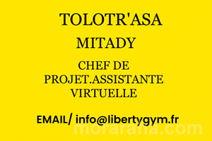 MITADY CHEF DE PROJER.ASSISTANTE VIRTUELLE 