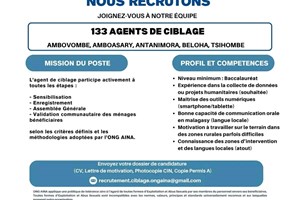MITADY 133 AGENTS DE CIBLAGE 