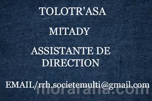 MITADY ASISTANTE DE DIRECTION