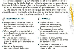 MITADY RESPONSABLE DE VENTE 