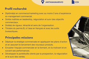 MITADY CHEF DE VENTE 
