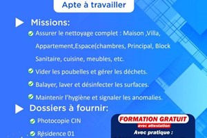 MITADY AGENT DE NETOYAGE 
