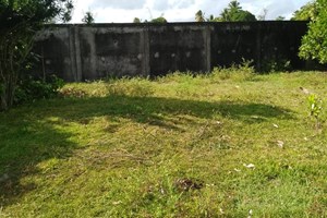 Terrain prêt à bâtir à Analamalotra Toamasina