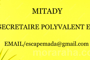 MITADY SECRETAIRE POLYVALENTE