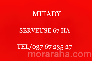 MITADY SERVEUSE 67 HA 