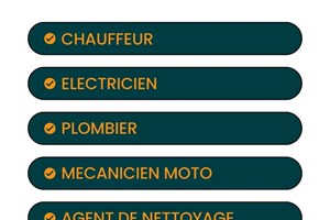 MITADY ELECTRICIEN/CHAUFFEUR/AGENT DE NETOYAGE/