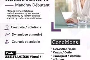 MITADY ASSISTANTE VIRTUEL/COMMERCIAL/AGENTS PROSPECTEURS