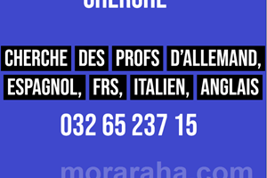 Cherche des profs d’Allemand, Espagnol, FRS, Italien, Anglais
