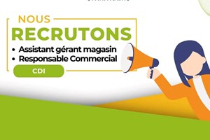 MITADY ASSISTANT GERANT DE MAGASIN/RESPONSABLE COMMERCIAL 