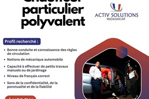 MITADY CHAUFFEUR POLYVALENT 