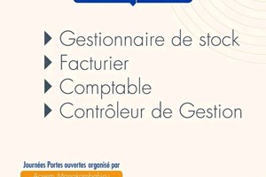 MITADY GESTIONNAIRE DE STOCK/FACTURIER/COMPTABLE/CONTROLEUR DE GESTION 