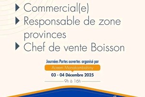 MITADY COMMERCIAL E/CHEF DE ZONE/CHEF DE VENTE DE BOISSON  BOISSON/