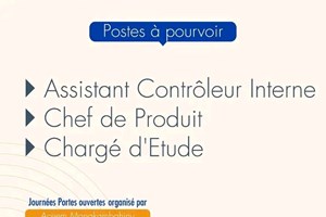 ASSISTANTE CONTROLEUR INTERNE/CHEF DE PRODUIT/CHARGE D'ETUDE 