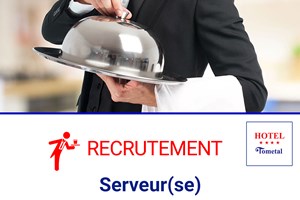 MITADY SERVEUR/SERVEUSE