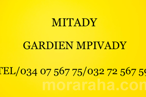 MITADY GARDIEN MIVADY 