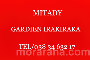 MITADY GARDIEN IRAKIRAKA