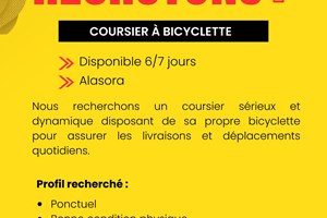 MITADY COURSIER BYCYCLETTE 