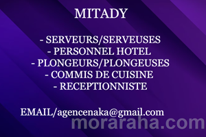 MITADY SERVEURS/SERVEUSES/PLONGEURS/PLONGEUSES/RECEPTIONNISTE