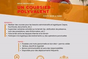MITADY COURSIERS POLYVALENT 