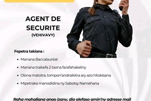 MITADY AGENT DE SECURITE VEHIVAVY