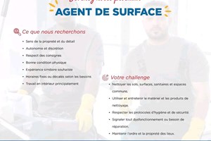 MITADY AGENT DE SURFACE 