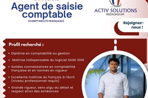 MITADY AGENT DE SAISIE 