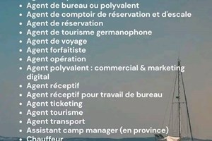 AGENT DE RESERVATION/AGENT COMPTOIR /INFORMATICIEN 