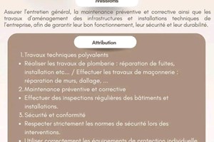 MITADY ENTRETIENT POLYVALENT 