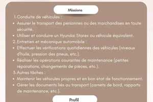 MITADY CHAUFFEUR PERMIS B ET D 