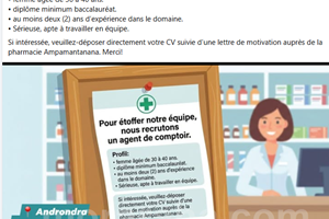 PHARMACIE AMPAMANTANANA MITADY AGENT DE COMPTOIR 